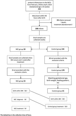 Necrotizing Enterocolitis and Intestinal Microbiota: The Timing of Disease and Combined Effects of Multiple Species